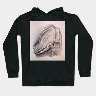 Southern Brown Tree Frog - Drawing by Avril Thomas - South Australian Artist Hoodie